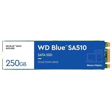 Твердотельный накопитель Western Digital WD BLUE SA510 250 GB (WDS250G3B0B)